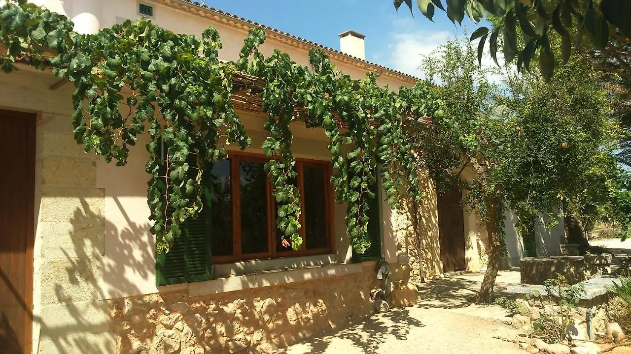 Son Jordi Nou, Beautiful Villa Near Alaro Big Swimming Pool, Bbq Mountain Views 12People Consell