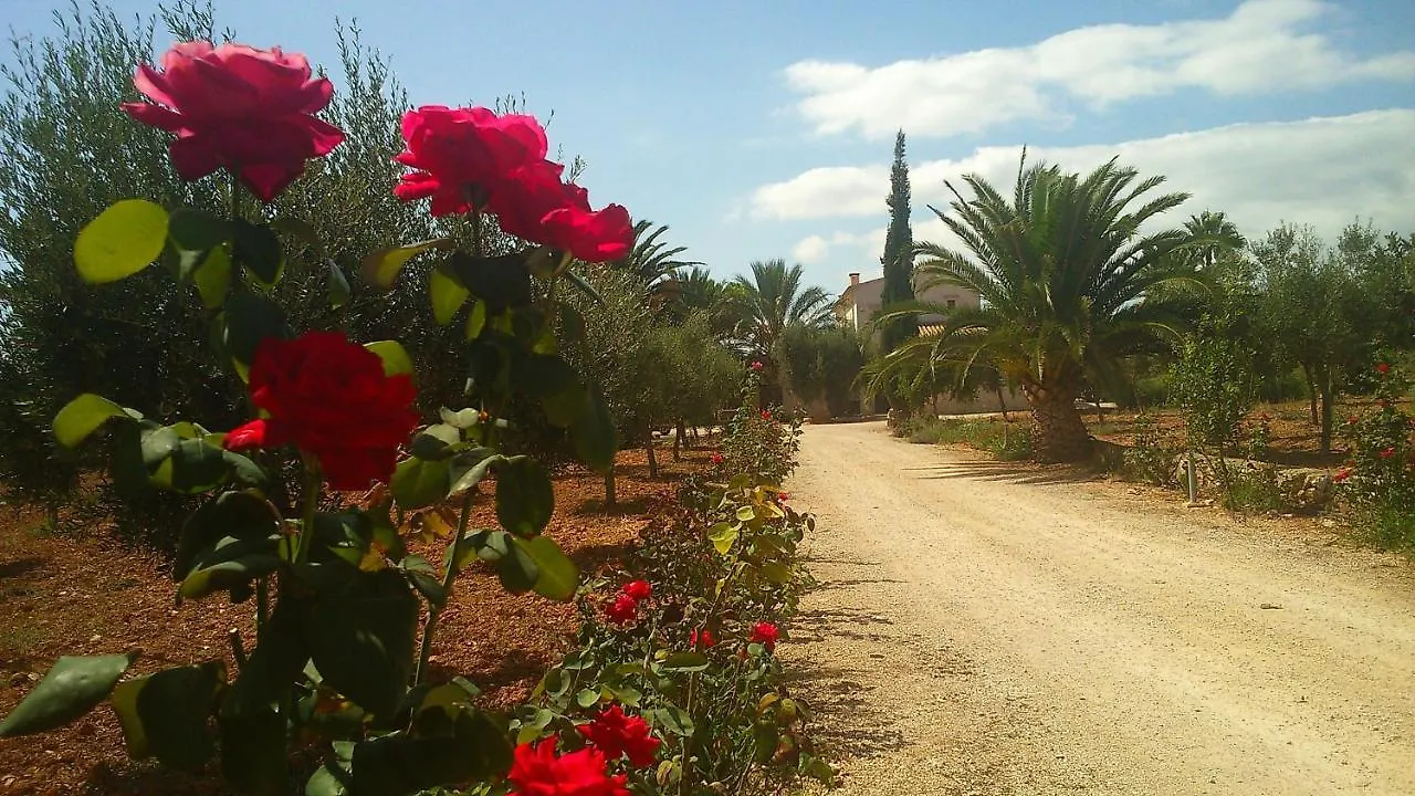 Son Jordi Nou, Beautiful Villa Near Alaro Big Swimming Pool, Bbq Mountain Views 12People Consell 0*,  Spanien