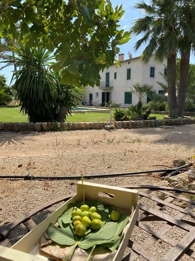 Son Jordi Nou, Beautiful Villa Near Alaro Big Swimming Pool, Bbq Mountain Views 12People Consell
