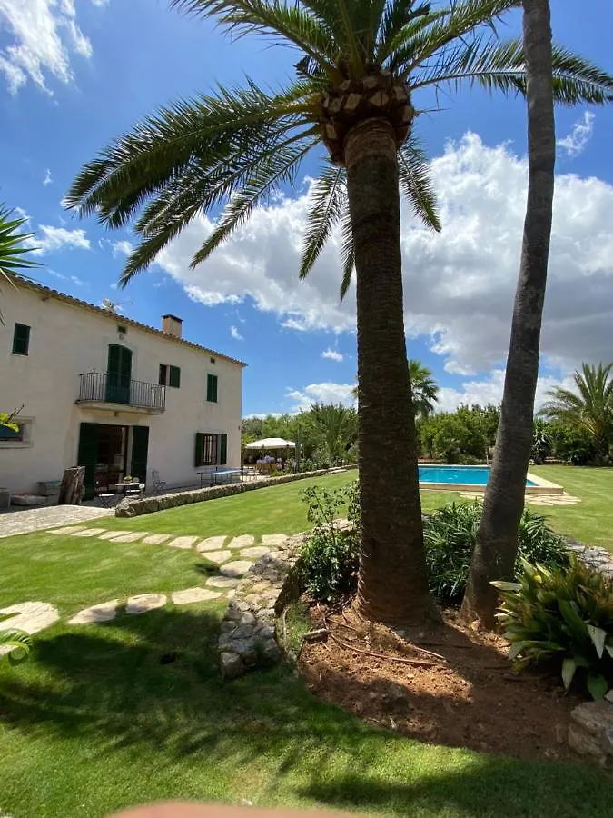 Son Jordi Nou, Beautiful Villa Near Alaro Big Swimming Pool, Bbq Mountain Views 12People Consell